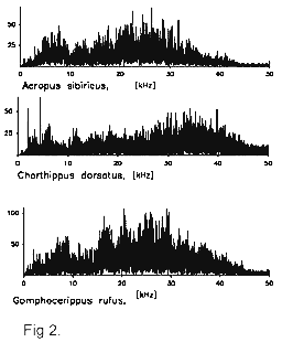 fig2.gif (6136 bytes)